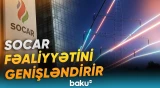 Ziba Mustafayeva şirkətin fəaliyyət istiqamətləri barədə məlumat verib - Baku TV