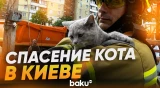 В Киеве спасли кота из многоквартирного дома, разрушенного от удара ВС России - Baku TV | RU