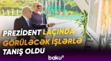 Prezident İlham Əliyevə Laçında gerçəkləşdirilən layihə barədə məlumat verildi - Baku TV