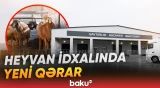 Ölkəyə idxal olunan heyvanlarla bağlı yeni qaydalar tətbiq ediləcək - Baku TV