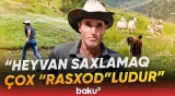 "Əziyyəti qiymətini ödəmir" | Heyvandarlıq sahəsindəki mövcud vəziyyət və qiymət - Baku TV
