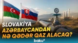 Slovakiya Azərbaycanla uzunmüddətli əməkdaşlığa hazırlaşır? - Bu tarixdən... - Baku TV