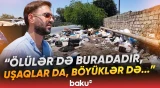 “Gətirib motosikletlə boşaldırlar, xəstəlik yaradır” | Maştağada biabırçı mənzərə - Baku TV