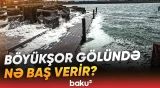 Gölün rəngi dəyişdi, köpük hər yanı bürüdü | Rəsmi qurumdan açıqlama - Baku TV