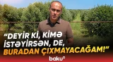 Qalmaqal: İş adamı Zirə sakininin atasından qalma 12 hektar torpağını əlindən alıb? - Baku TV