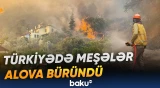 Türkiyədə 4 vilayətdə meşə yanğınları hökm sürür | 1 yaşayış məntəqəsi təxliyə edilib - Baku TV
