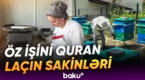 Özünüməşğulluq proqramına cəlb edilən laçınlılar təəssüratlarını bölüşdü - Baku TV