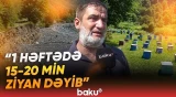 "Baxımsızlıqdan 250 min ailə qalıb" | Arıçıların başına oyun açan hadisə - Baku TV