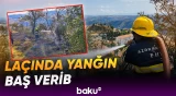 Laçında baş verən yanğın FHN əməkdaşları tərəfindən söndürülüb - Baku TV