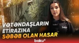 Meşə fonduna aid torpaqlar hasarlanıb? | Ərazidə nə baş verir? - Baku TV