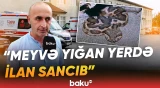 "Çalışırıq ki, Bakıya göndərək" | Ağyazıda qadını qəfildən ilan sancıb - Baku TV
