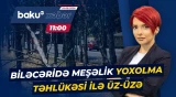 Ağaclar bir-bir quruyur | Binəqədidəki problemi kim həll etməlidir? - Baku TV CANLI