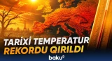 Avropa ekstremal istilərin təsirində | Temperatur göstəriciləri normanı ötüb keçdi - Baku TV