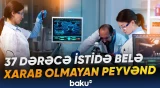 Soyuducuya ehtiyac olmayan peyvənd hazırlandı | Alimlərdən inqilabi kəşf - Baku TV