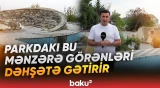 "Böyük narazılıq var" | Bu parkı görənlər gözlərinə inanmaq istəmir - Baku TV