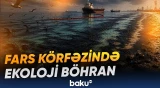 Fars körfəzində neft sızması sahilləri ciddi ekoloji təhlükə qarşısında qoydu - Baku TV