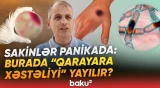"Qarayara xəstəliyi" diaqnozu təsdiqləndi | Xəstəxanaya müraciət edənlərin sayı artır - Baku TV