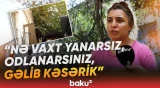 "Bizim həyətimizdə təhlükə çoxdur" | Evin damına ağac aşıb, günlərdir götürən yoxdur - Baku TV