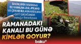 Sakinləri bir yandan sahibsiz itlər qorxudur, bir yandan da... | Narazılıq yaradan hadisə - Baku TV