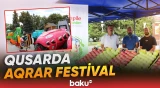 Qusarda Aqrar Biznes Festivalı və I İntensiv Meyvə Bağları Festivalı keçirilib - Baku TV
