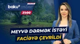 Astarada bədbəxt hadisə | Əncir dərmək istəyən kişi necə öldü? - Baku TV CANLI