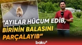 Ayılar bu kəndlərə girib dəhşət saçdı | Sakinlər qorxu içində qalıb - Baku TV