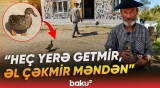 "Belə şey görməmişdim" | Lənkəranda qeyri-adi hadisə | Ancaq yatanda... - Baku TV