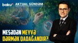 Heyvan yemlərindəki ağır dərmanlar bizim süfrəmizə gəlir? - AKTUAL GÜNDƏM