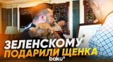 Кроуфорд подарил Зеленскому щенка по кличке Фрейя, в честь будущей системы ПВО - Baku TV | RU