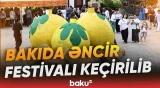 Paytaxtda təşkil olunan "Əncir Festivalı" bu dəfə maraqlı təqdimatlarla yadda qalıb - Baku TV