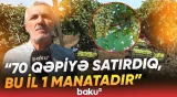 "50 faizini yandırdı..." | Fermerləri çarəsiz halda qoyan problem nədir? - Baku TV
