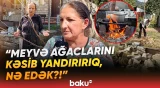 “Belə yaşamaqdansa, kirayə qalmaq sərfəlidir” | Həll edilməyən problem sakinləri bezdirdi - Baku TV