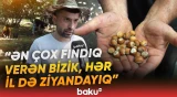 “Nə alan var, nə soruşan” | Qax sakinlərinin yığdığı fındıq niyə əllərində qalıb? - Baku TV