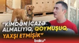 "Heç bir kənddə bu qədər it yoxdur" | Buzovna sakinləri ayağa qalxdı - Baku TV