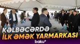 Kəlbəcərdə əmək bazarında yeni mərhələ | İş axtaranlar üçün yeni imkanlar - Baku TV