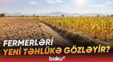İqlim dəyişikliyi kənd təsərrüfatına necə təsir edir? - Baku TV