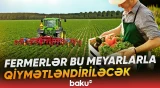 Azərbaycanda fermer reytinqinin tətbiqinə başlanılır - Baku TV