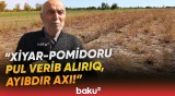 “Çox acınacaqlı vəziyyətdəyik” | Əkin sahələri susuzluqdan məhv olan sakinlər şikayətçidir - Baku TV