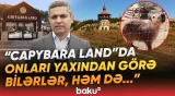 Şamaxıda "Nəsimi Bağları" kompleksi | “Nəsiminin 21 metrlik abidəsi xüsusi diqqət çəkir” - Baku TV