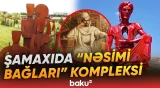 Azərbaycanda ilk və yeganə kapibara ferması | "Nəsimi Bağları"nda daha nələr var? - Baku TV