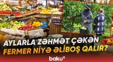 Fermerdən 15 qəpiyə alınan məhsul bazarda necə 1,5 manat olur? - Baku TV