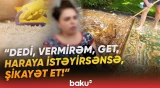Xalça yuma şirkəti sakinin xalçasını niyə qaytarmır? - "Ucuz olanları gətirdilər ki..." - Baku TV