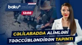 Qədim yaşayış məskənində aparılan tədqiqatlar gözlənilməz nəticələr verdi - Baku TV CANLI