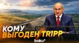 Пашинян рассказал в ООН о взаимодействии с Азербайджаном и перспективах TRIPP - Baku TV | RU