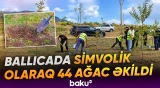 Xocalıda Anım Günü ilə bağlı ağacəkmə aksiyası təşkil olunub - Baku TV
