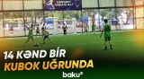 Amasiyanın 14 kəndi arasında çempionluq uğrunda gərgin mübarizə gedir - Baku TV