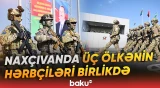 "Birliyin gücü-2026" təlimində praktiki məşqlər icra olunur | "Haber Global"dan süjet - Baku TV