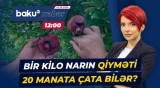 Məşhur Göyçay narını xəstəlik vurdu: bu il nar tapmaq çətin olacaq? - Baku TV CANLI
