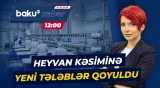 Yeni qaydalar fermerlərə və ət bazarına necə təsir edəcək? - Baku TV CANLI