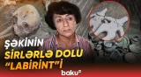 “Qazanda elə şeylər gördük ki...” | Yerin altında qorunan bu muzey niyə dünyada unikaldır? - Baku TV